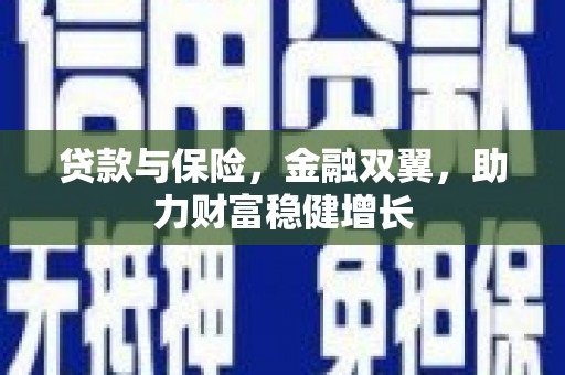 米东贷款与保险，金融双翼，助力财富稳健增长