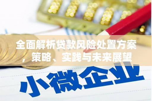 米东全面解析贷款风险处置方案，策略、实践与未来展望