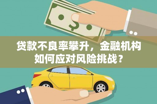 米东贷款不良率攀升，金融机构如何应对风险挑战？