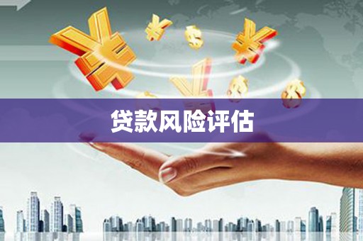 米东贷款风险评估