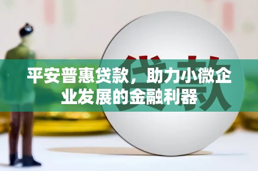 米东平安普惠贷款，助力小微企业发展的金融利器