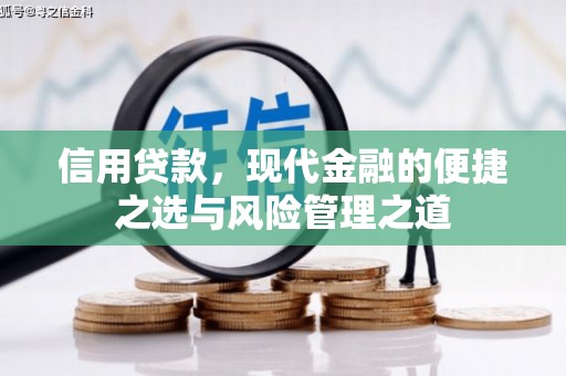 米东信用贷款，现代金融的便捷之选与风险管理之道