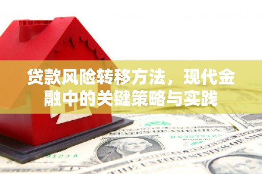 米东贷款风险转移方法，现代金融中的关键策略与实践