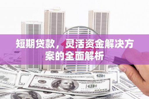 米东短期贷款，灵活资金解决方案的全面解析