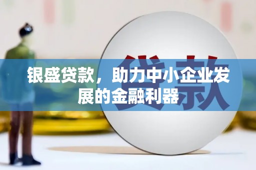 米东银盛贷款，助力中小企业发展的金融利器
