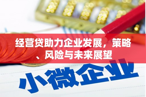 米东经营贷助力企业发展，策略、风险与未来展望