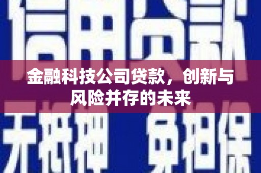 米东金融科技公司贷款，创新与风险并存的未来