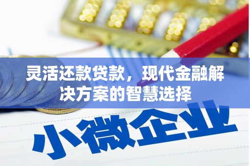 米东灵活还款贷款，现代金融解决方案的智慧选择