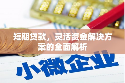 米东短期贷款，灵活资金解决方案的全面解析