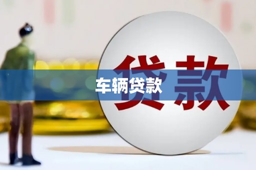 米东车辆贷款