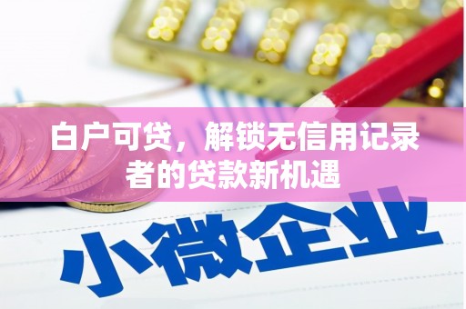 米东白户可贷，解锁无信用记录者的贷款新机遇