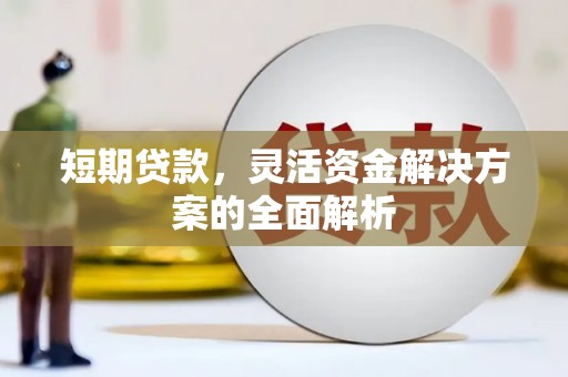 米东短期贷款，灵活资金解决方案的全面解析
