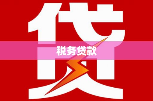 米东税务贷款