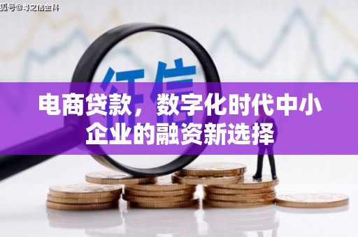 米东电商贷款，数字化时代中小企业的融资新选择