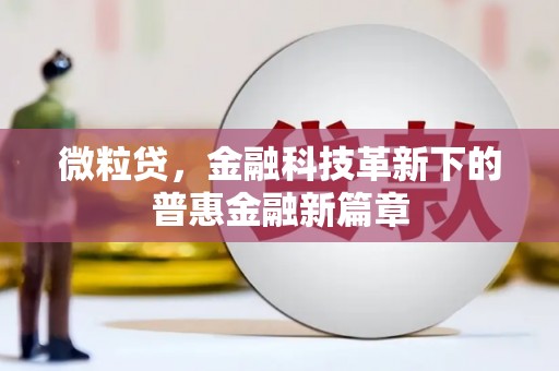 米东微粒贷，金融科技革新下的普惠金融新篇章