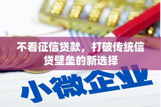 米东不看征信贷款，打破传统信贷壁垒的新选择