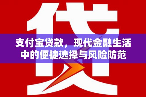 米东支付宝贷款，现代金融生活中的便捷选择与风险防范