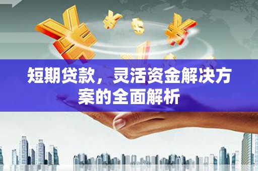 米东短期贷款，灵活资金解决方案的全面解析