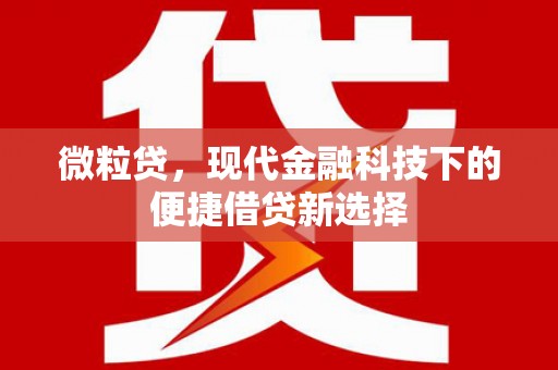 米东微粒贷，现代金融科技下的便捷借贷新选择