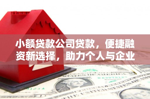米东小额贷款公司贷款，便捷融资新选择，助力个人与企业成长