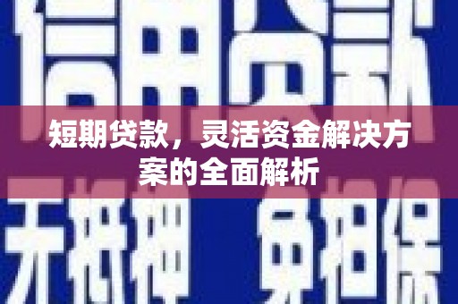 米东短期贷款，灵活资金解决方案的全面解析