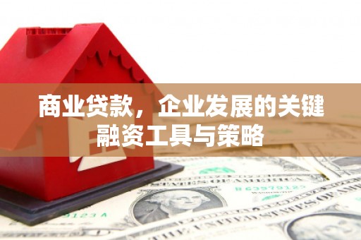 米东商业贷款，企业发展的关键融资工具与策略