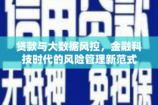 米东贷款与大数据风控，金融科技时代的风险管理新范式