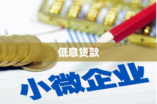 米东低息贷款