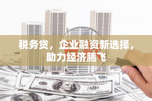 米东税务贷，企业融资新选择，助力经济腾飞