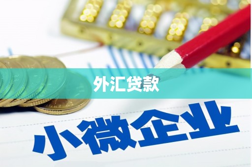 米东外汇贷款