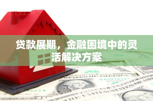 米东贷款展期，金融困境中的灵活解决方案