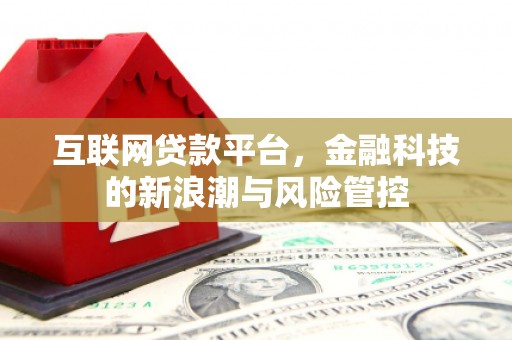 米东互联网贷款平台，金融科技的新浪潮与风险管控