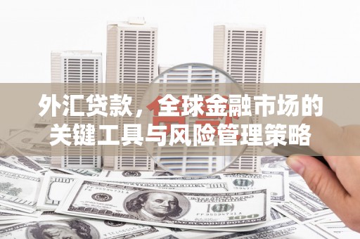 米东外汇贷款，全球金融市场的关键工具与风险管理策略