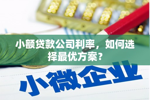 米东小额贷款公司利率，如何选择最优方案？
