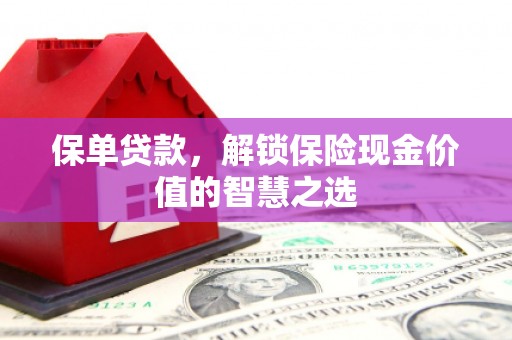 米东保单贷款，解锁保险现金价值的智慧之选