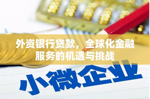 米东外资银行贷款，全球化金融服务的机遇与挑战