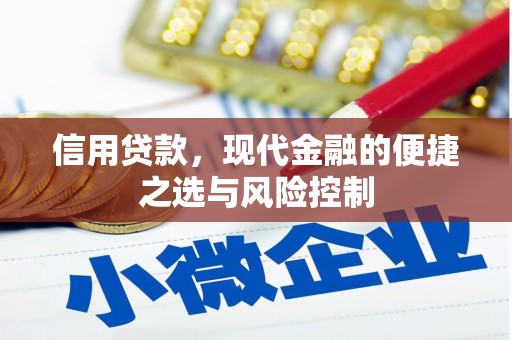 米东信用贷款，现代金融的便捷之选与风险控制