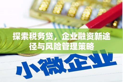 米东探索税务贷，企业融资新途径与风险管理策略