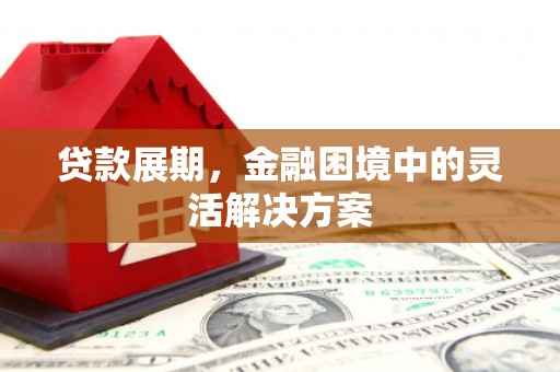 米东贷款展期，金融困境中的灵活解决方案