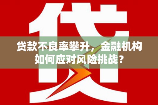 米东贷款不良率攀升，金融机构如何应对风险挑战？