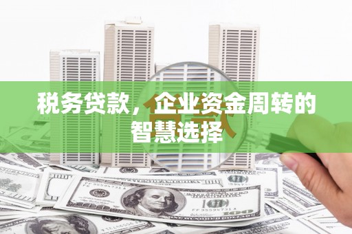 米东税务贷款，企业资金周转的智慧选择