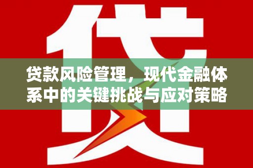 米东贷款风险管理，现代金融体系中的关键挑战与应对策略