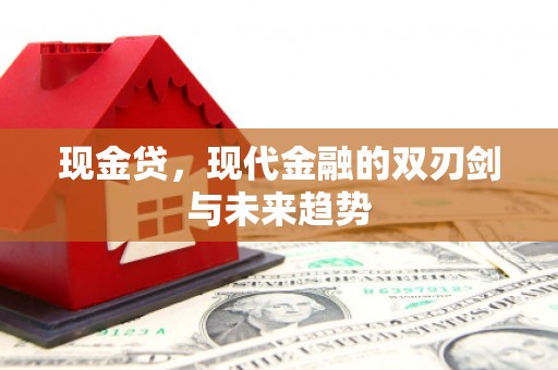 米东现金贷，现代金融的双刃剑与未来趋势