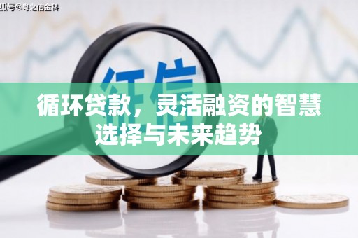 米东循环贷款，灵活融资的智慧选择与未来趋势