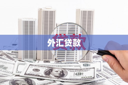 米东外汇贷款