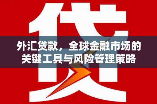 米东外汇贷款，全球金融市场的关键工具与风险管理策略