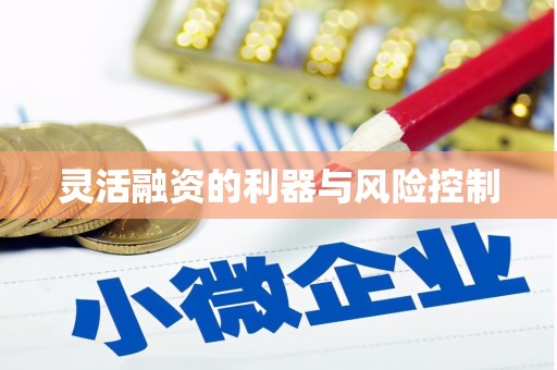 米东灵活融资的利器与风险控制