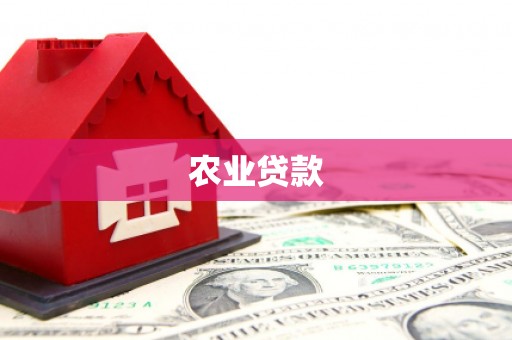 米东农业贷款