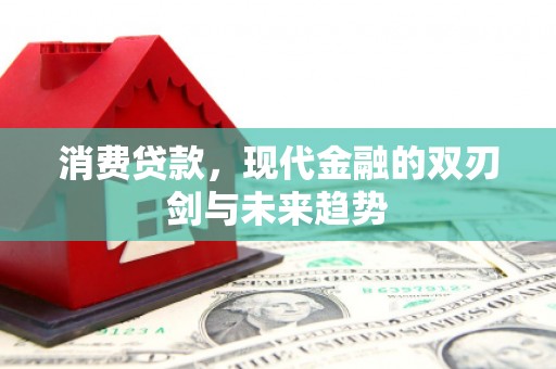 米东消费贷款，现代金融的双刃剑与未来趋势
