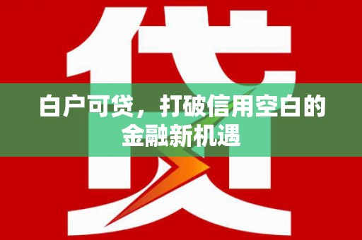 米东白户可贷，打破信用空白的金融新机遇